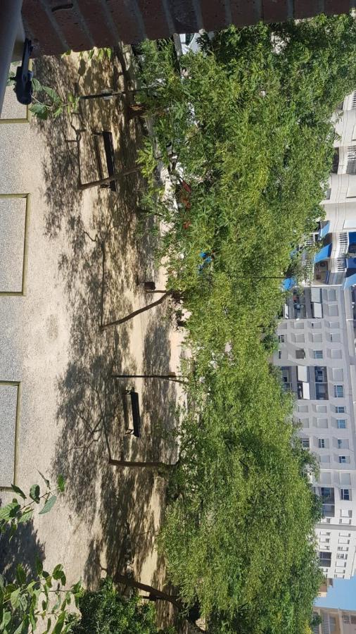 Apartamento En Campello A 250M De La Playa El Campello Extérieur photo